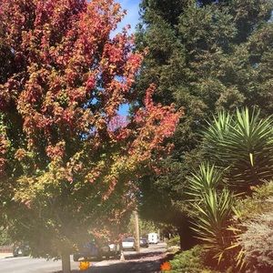 Meet your Posher, Quinn